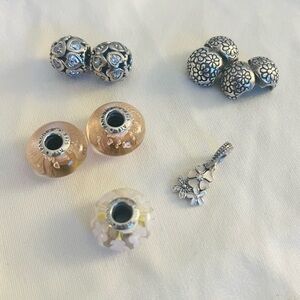 Pandora charms (set of 8 charms)